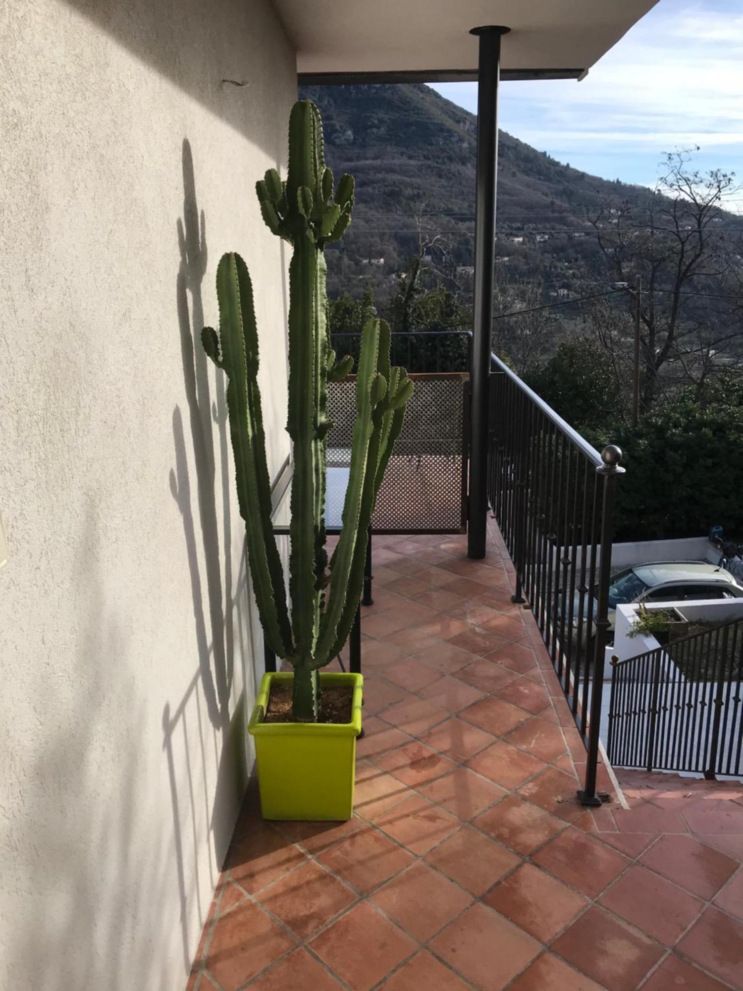 Haut De Villa Avec Vue - Le Bar Sur Loup 06 Екстер'єр фото